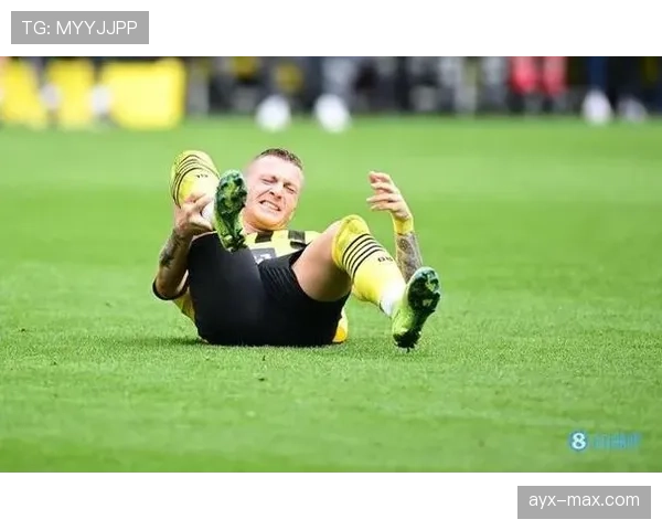 维尔茨与罗伊斯:伤病天才的进攻角色与技术风格差异解析